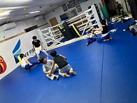 MMA