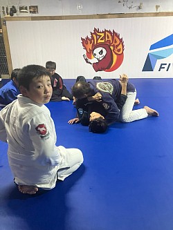 ブラジリアン柔術